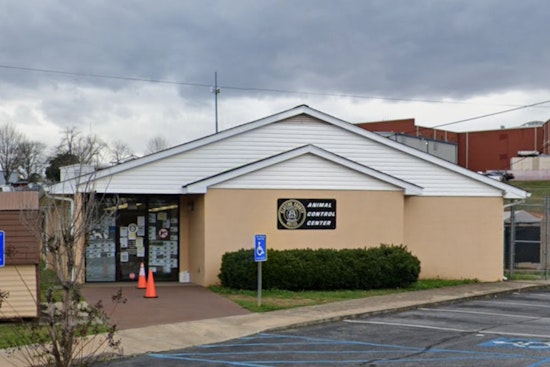 Clayton County Shelter Workers Badly Hurt In Pit Bull Kennel Attack