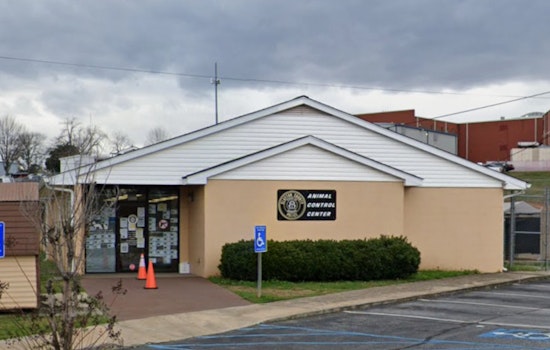 Clayton County Shelter Workers Badly Hurt In Pit Bull Kennel Attack