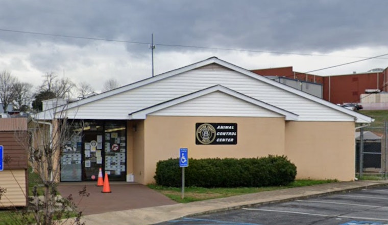 Clayton County Shelter Workers Badly Hurt In Pit Bull Kennel Attack