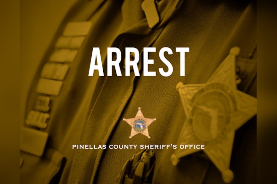 Clearwater Man Arrested on 20 Counts of Child Pornography Possession