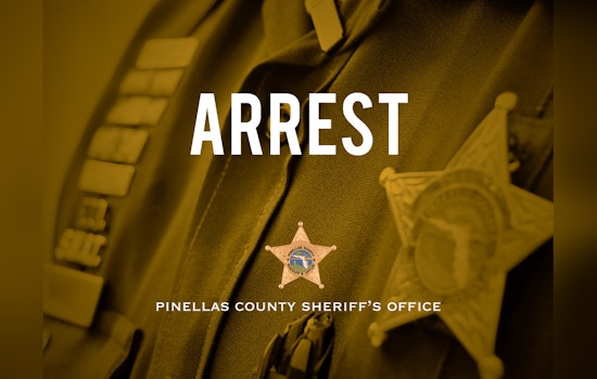 Clearwater Man Arrested on 20 Counts of Child Pornography Possession