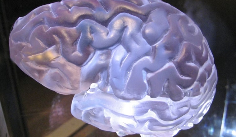 Cleveland Clinic Bets On Brain-Reading AI To Catch Seizures In Seconds