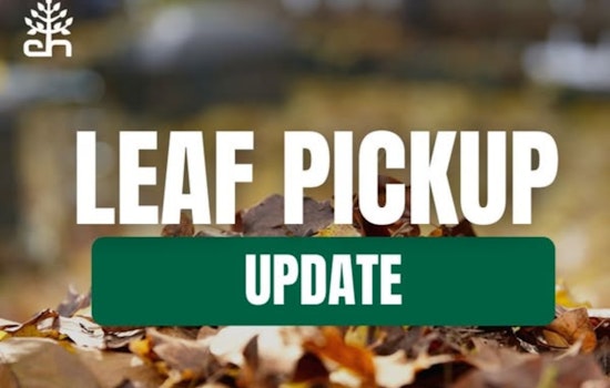Cleveland Heights Tackles Seasonal Cleanup Backlog, Resumes Leaf and Christmas Tree Collection