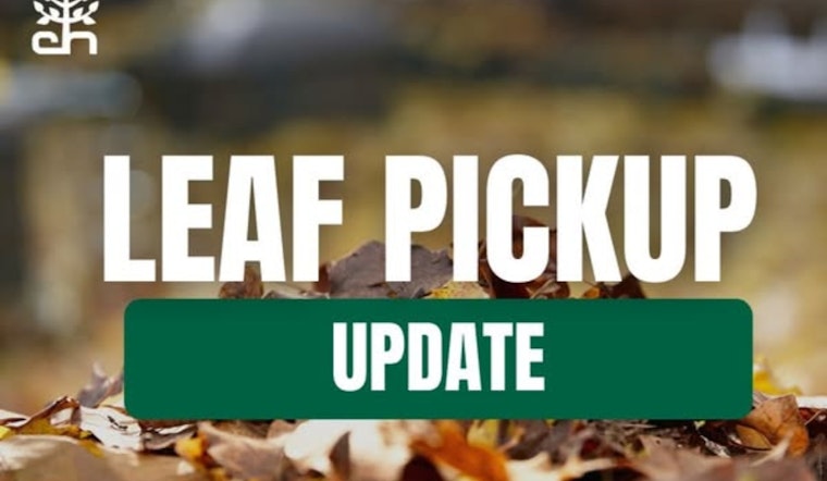 Cleveland Heights Tackles Seasonal Cleanup Backlog, Resumes Leaf and Christmas Tree Collection