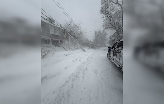 Cohasset Roof Rattled As Blizzard Sends Pole Crashing Onto Home