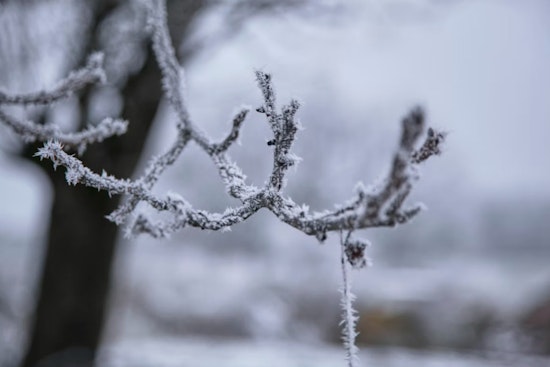 Indy Shivers as Light Snow and Raw Winds Kick Off the Workweek