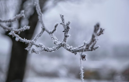 Indy Shivers as Light Snow and Raw Winds Kick Off the Workweek