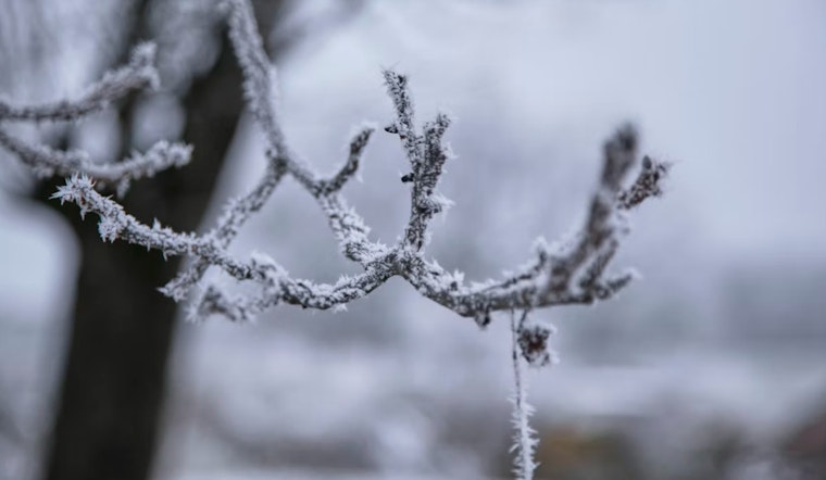 Indy Shivers as Light Snow and Raw Winds Kick Off the Workweek