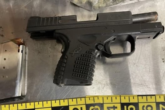 Colma Cops Scuffle With Driver, Pull Loaded Unregistered Gun From Backpack