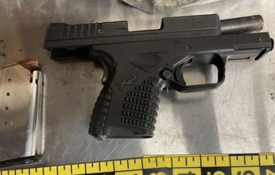 Colma Cops Scuffle With Driver, Pull Loaded Unregistered Gun From Backpack