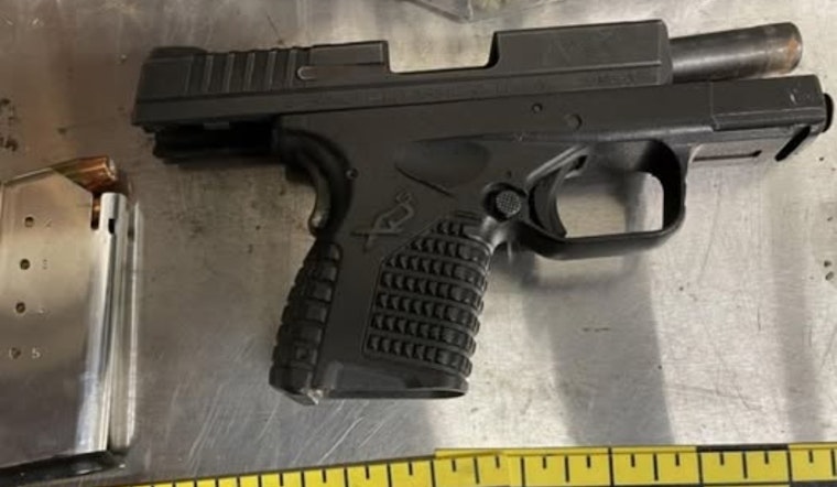 Colma Cops Scuffle With Driver, Pull Loaded Unregistered Gun From Backpack