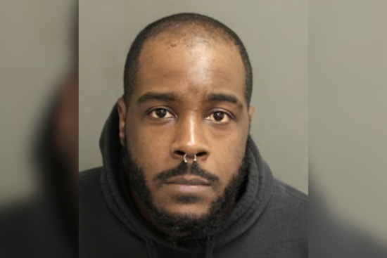 Cops Bust Orlando Man After Emaciated Great Dane Mix Left Behind In Evicted Home