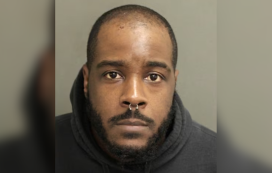 Cops Bust Orlando Man After Emaciated Great Dane Mix Left Behind In Evicted Home