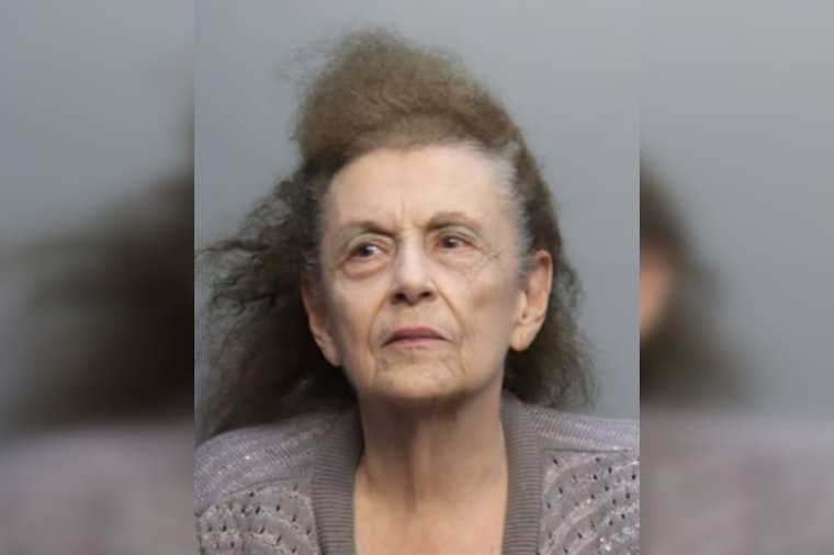 Cops Collar 82-Year-Old In Westchester Hit-and-Run That Left Boy Broken
