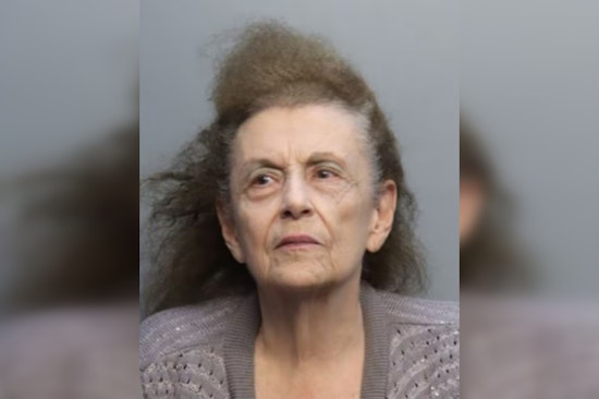 Cops Collar 82-Year-Old In Westchester Hit-and-Run That Left Boy Broken