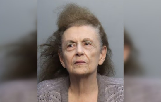 Cops Collar 82-Year-Old In Westchester Hit-and-Run That Left Boy Broken