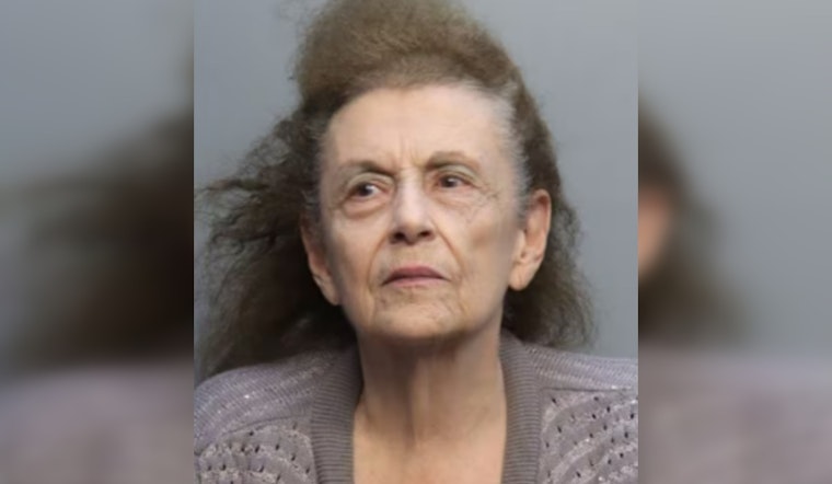 Cops Collar 82-Year-Old In Westchester Hit-and-Run That Left Boy Broken