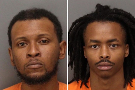 Cops Collar Clearwater Duo In $11K Puppy Store Scam