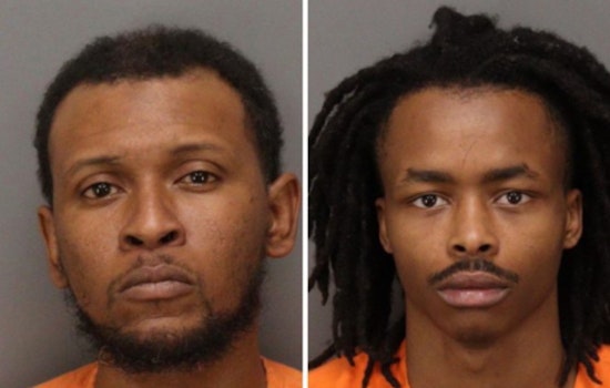Cops Collar Clearwater Duo In $11K Puppy Store Scam