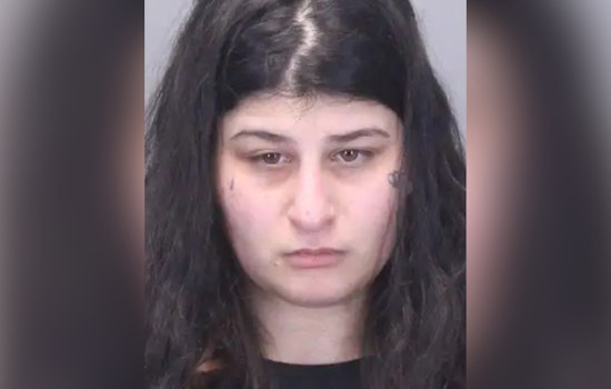 Cops: Macomb Woman Busted In X-Rated Extortion Racket Targeting Metro Detroit Men