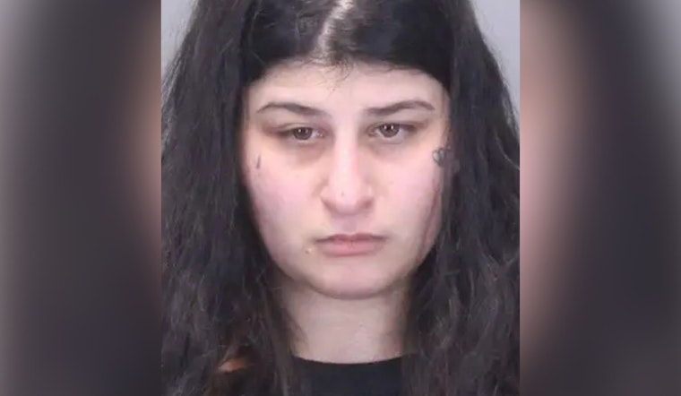 Cops: Macomb Woman Busted In X-Rated Extortion Racket Targeting Metro Detroit Men