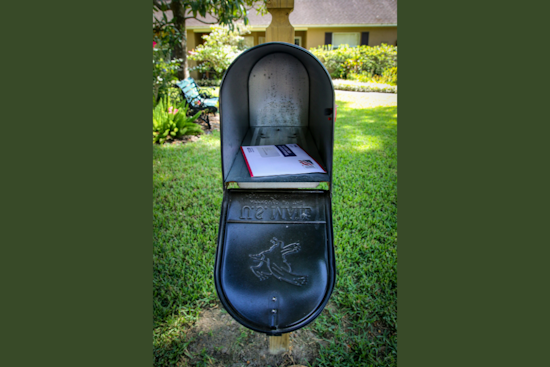 Cops Nab Alleged North Stockton Mailbox Bandits After Mail Theft Spree