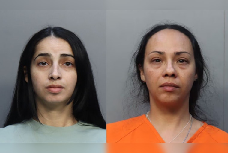 Cops Nab Duo in Kendale Lakes Puppy Caper Over 18 Doodles and Designer Kicks