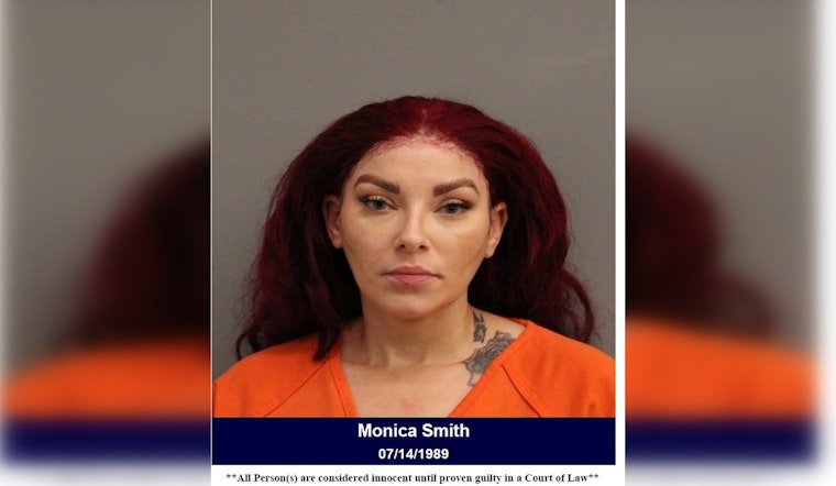 Cops Nab Wrong-Way Driver Accused Of DWI With Child In Harris County