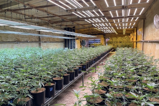 Cops Swarm Quiet Inola Grow In Massive Pot Haul