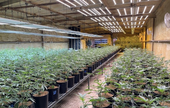 Cops Swarm Quiet Inola Grow In Massive Pot Haul
