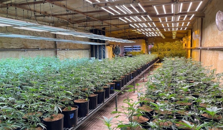Cops Swarm Quiet Inola Grow In Massive Pot Haul