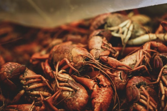Crawfish Comeback Hans' Boil Pops Back Up at the Barn in Cypress