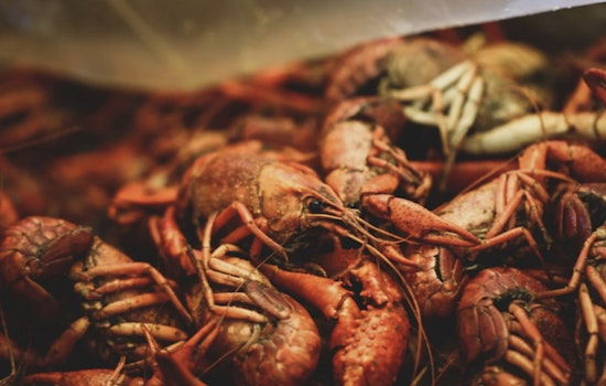 Crawfish Comeback Hans' Boil Pops Back Up at the Barn in Cypress