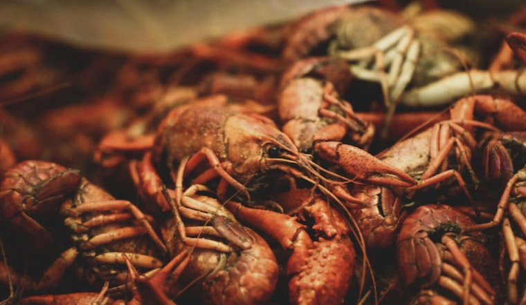 Crawfish Comeback Hans' Boil Pops Back Up at the Barn in Cypress