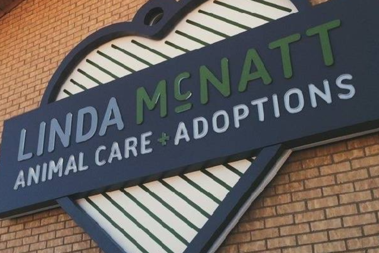 Crowded Kennels Push Denton to Unleash $14.5 Million Shelter Upgrade
