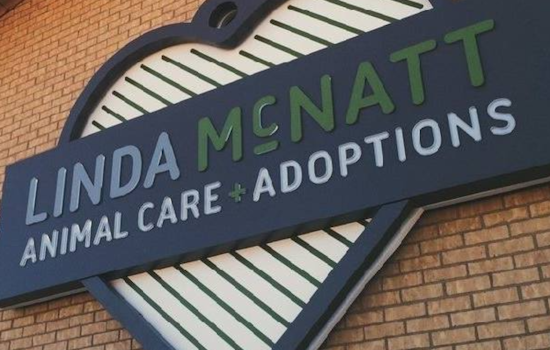 Crowded Kennels Push Denton to Unleash $14.5 Million Shelter Upgrade