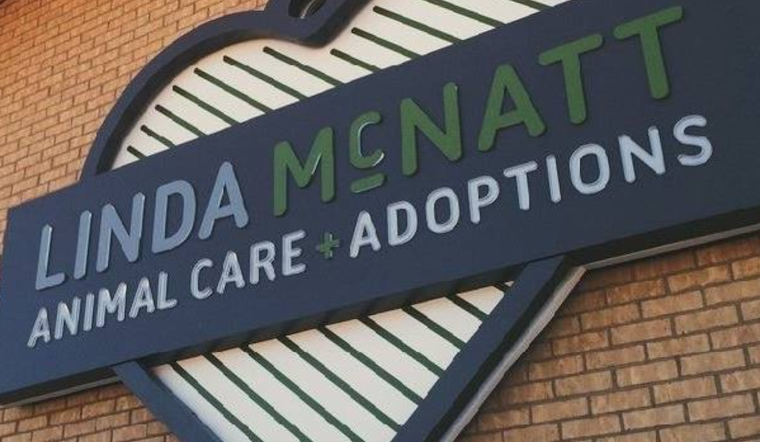 Crowded Kennels Push Denton to Unleash $14.5 Million Shelter Upgrade