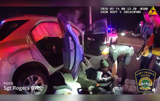 Daytona Teen Carjacking Chaos Ends With Smash Into Road Sign