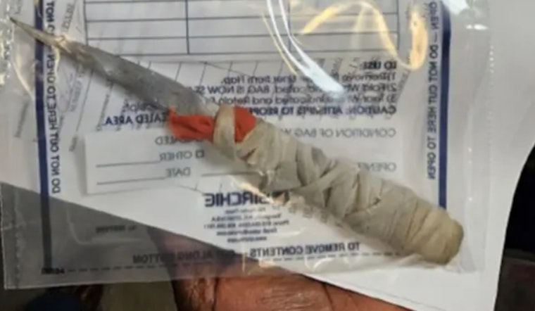 DC Jail Lockdown Horror as Inmate Accused of Stabbing Guard Nine Times