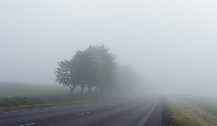 D.C. Wakes In A Fog As Weekend Warm-Up Rolls In