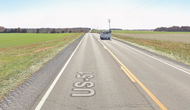 Deer Herds Create Driving Hazard On Highway 51 Near Memphis