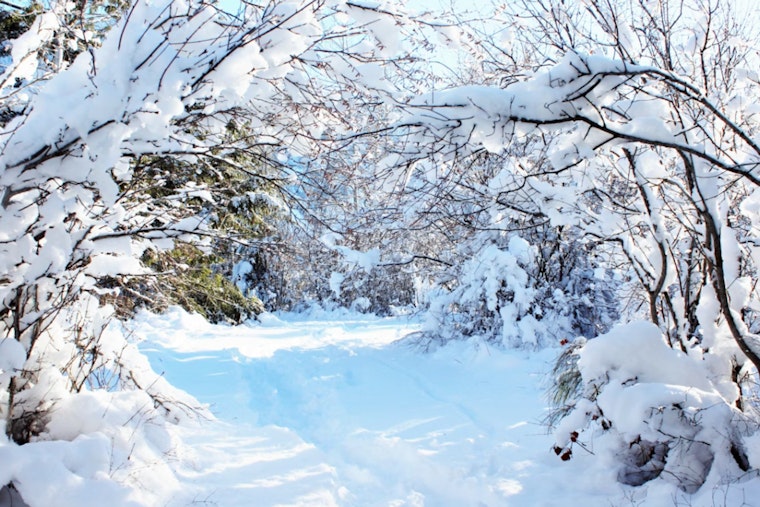 Delaware Valley Hit by Bitter Cold, NWS Philadelphia Issues Advisory with Wind Chills to -7°