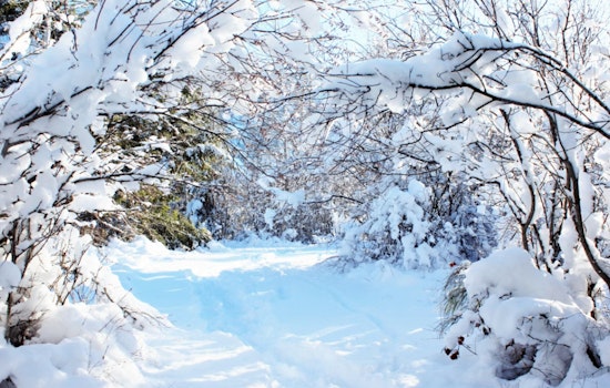Delaware Valley Hit by Bitter Cold, NWS Philadelphia Issues Advisory with Wind Chills to -7°