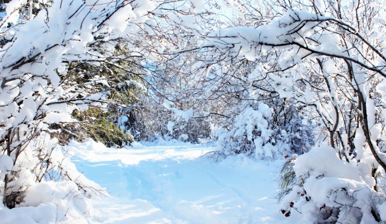 Delaware Valley Hit by Bitter Cold, NWS Philadelphia Issues Advisory with Wind Chills to -7°