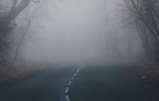 Dense Fog Advisory in Tampa Bay Affects Visibility, Commuters Cautioned