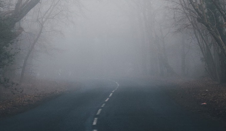 Dense Fog Advisory in Tampa Bay Affects Visibility, Commuters Cautioned