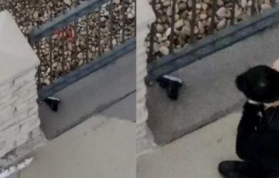 Denver Teen Nabbed After Gun Toss In Lincoln Park Apartment Chase