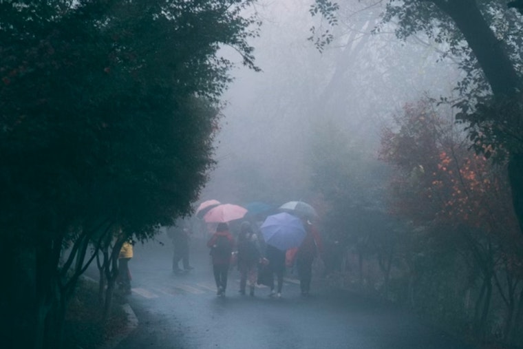 Detroit Braces for Week of Fog, Rain, and Potential Thunderstorms, National Weather Service Reports