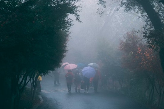 Detroit Braces for Week of Fog, Rain, and Potential Thunderstorms, National Weather Service Reports