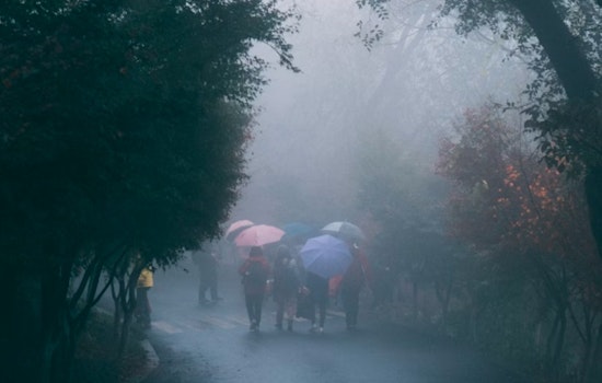 Detroit Braces for Week of Fog, Rain, and Potential Thunderstorms, National Weather Service Reports